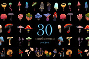 mushrooms, an Object Illustration by kaplaniha (Thumbnail 1 of 7)