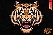 FIGHTER II - Vector illustration, an Animal Illustration by Artistic & Unique (Thumbnail 3 of 12)