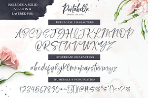 SALE Delicious Scripts Font Bundle