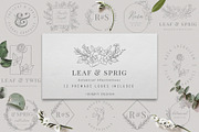 Botanical Illustrations & Logo Kit, an Illustration by BirDIY Design (Thumbnail 9 of 10)