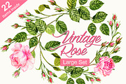 Vintage Rose Set, an Illustration by RosaPompelmo (Thumbnail 1 of 4)