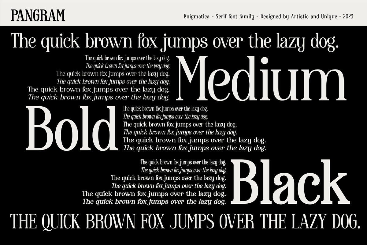 Enigmatica - Serif font family, a Serif Font by Artistic & Unique (Photo 15 of 15)