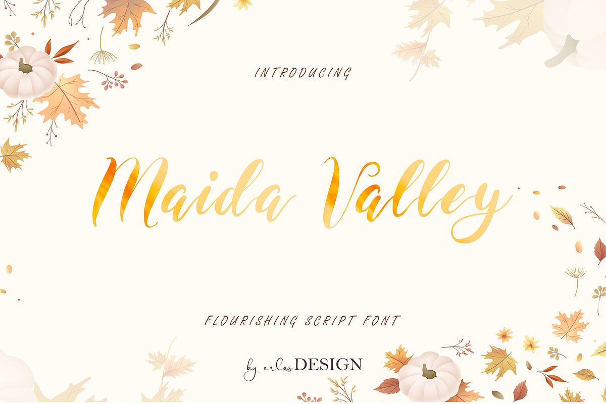 Maida Valley - Handwritten Font, a Script Font by erlosDESIGN (Photo 1 of 14)