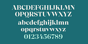 Chiaroscura, a Serif Font by Emtype Foundry (Thumbnail 15 of 15)