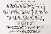 Awesome Wonderhand, a Handwritten Font by FreshTypeINK (Thumbnail 4 of 8)