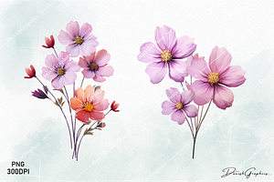 Pink Wild Flowers Watercolor Clipart