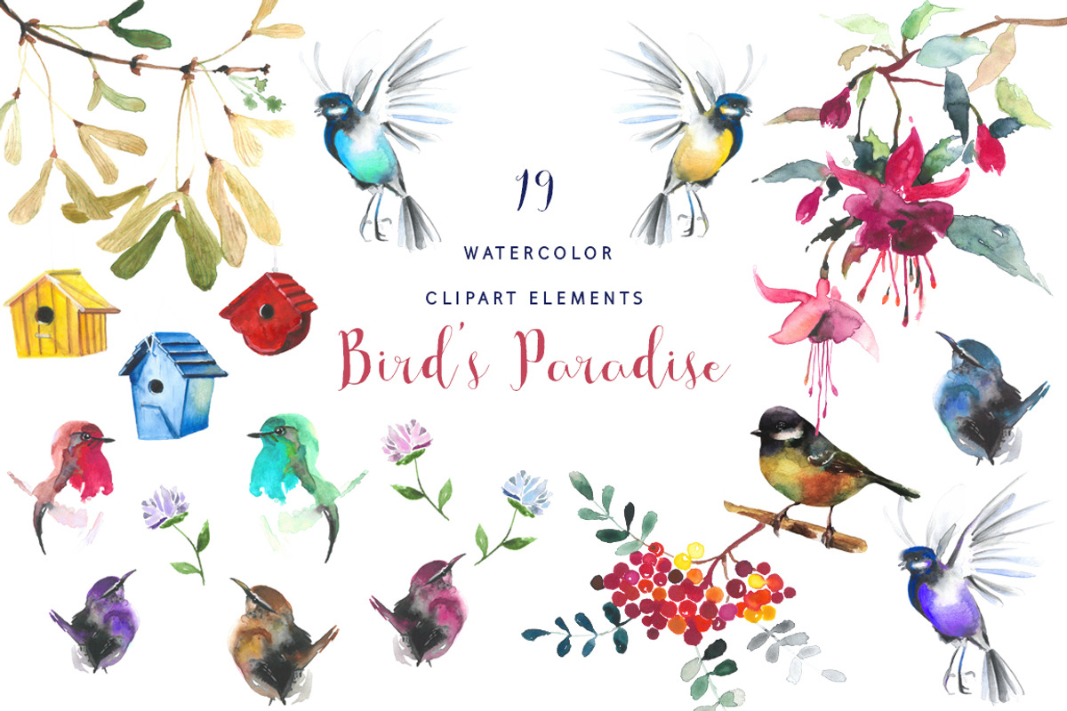 Watercolor Birds' Paradise Clipart, a Graphic by KitsPix