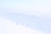 5 Pastel Winter Landscapes, a Background Photo by Fun Fusion Design (Thumbnail 4 of 6)