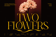 Last Rucyka Stylish Serif Font, a Serif Font by Graphicxell (Thumbnail 3 of 8)