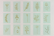 Just hand-drawn leaves, a Decorative Illustration by tinybunnyshop (Thumbnail 3 of 11)