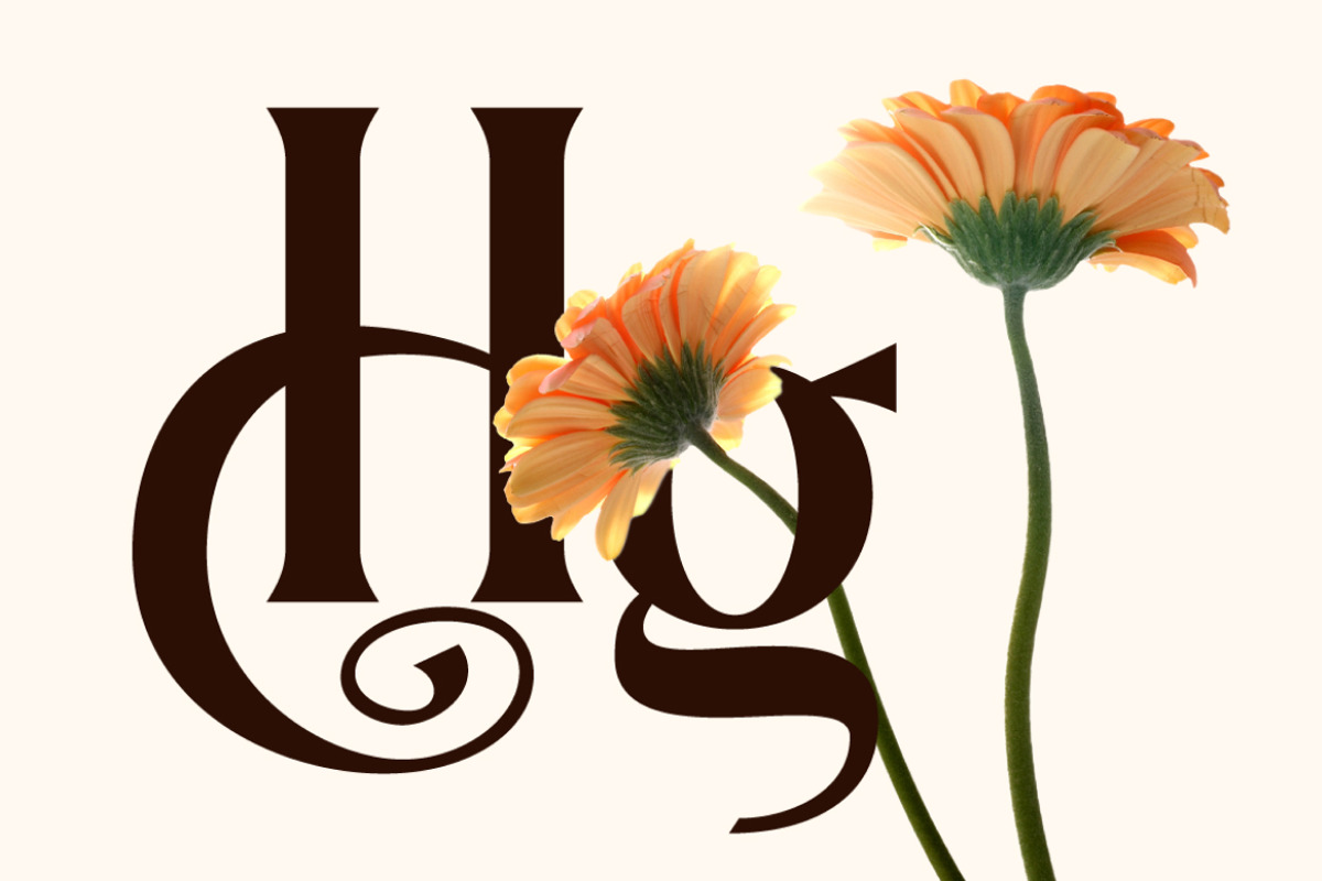 Dionara Luxury Elegant Serif Font, a Serif Font by Rasio Studio (Photo 3 of 8)