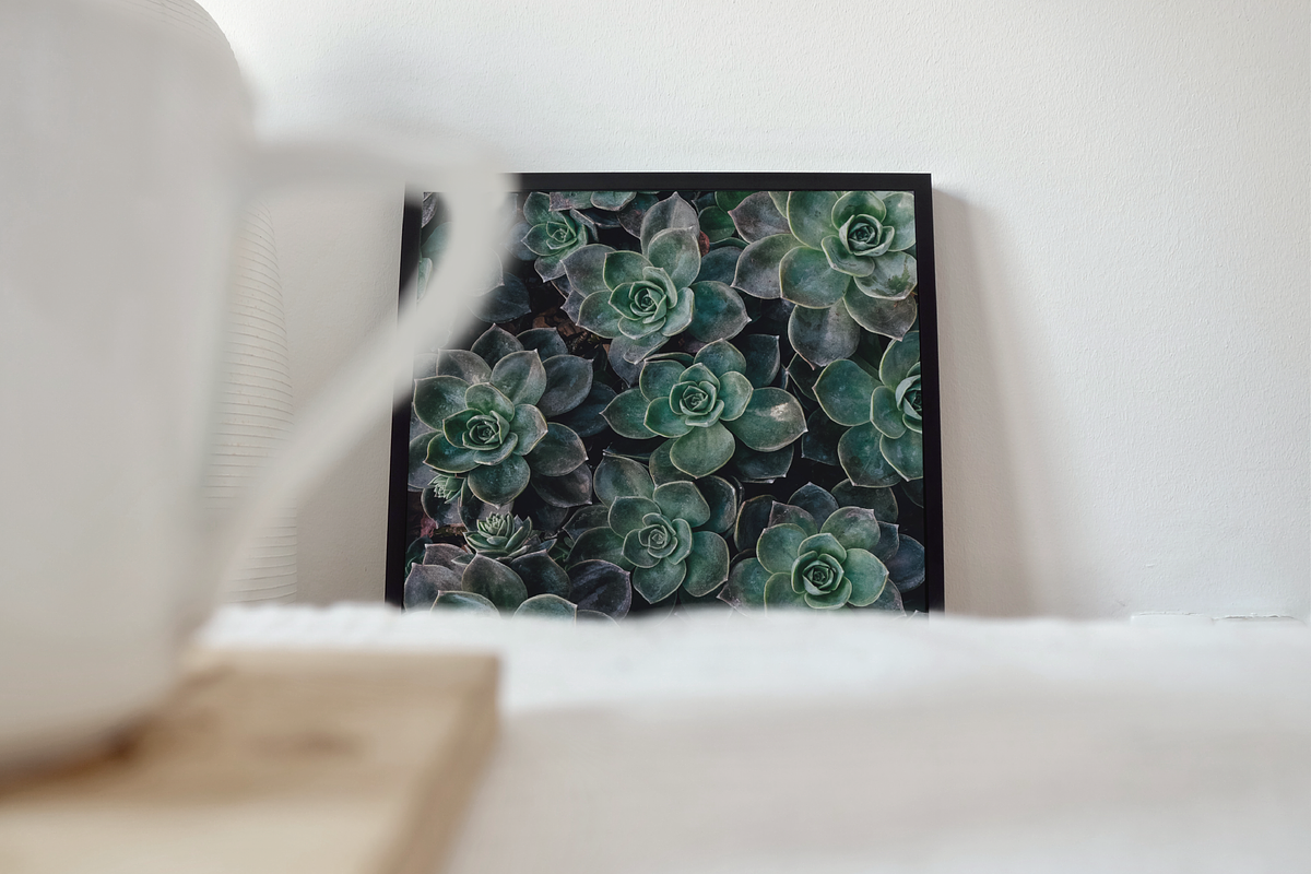 Frame Mockup Bundle - Opuntia, a Household Mockup by Saguaro Digital (Photo 8 of 9)
