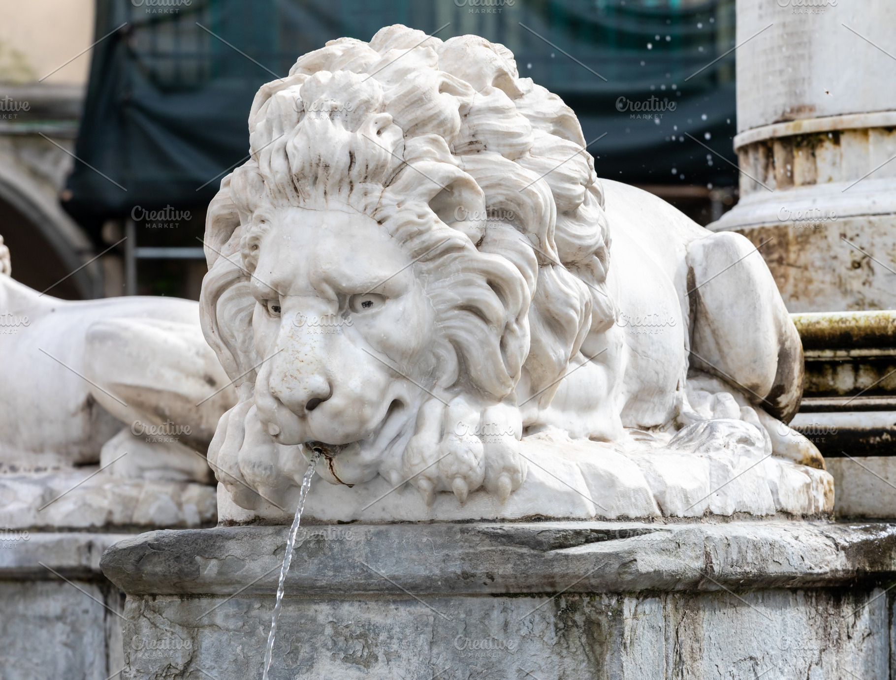 Marble lion statue pouring water in Empoli fountain, Tuscany, Italy, a Photo by Antonio Gravante Market