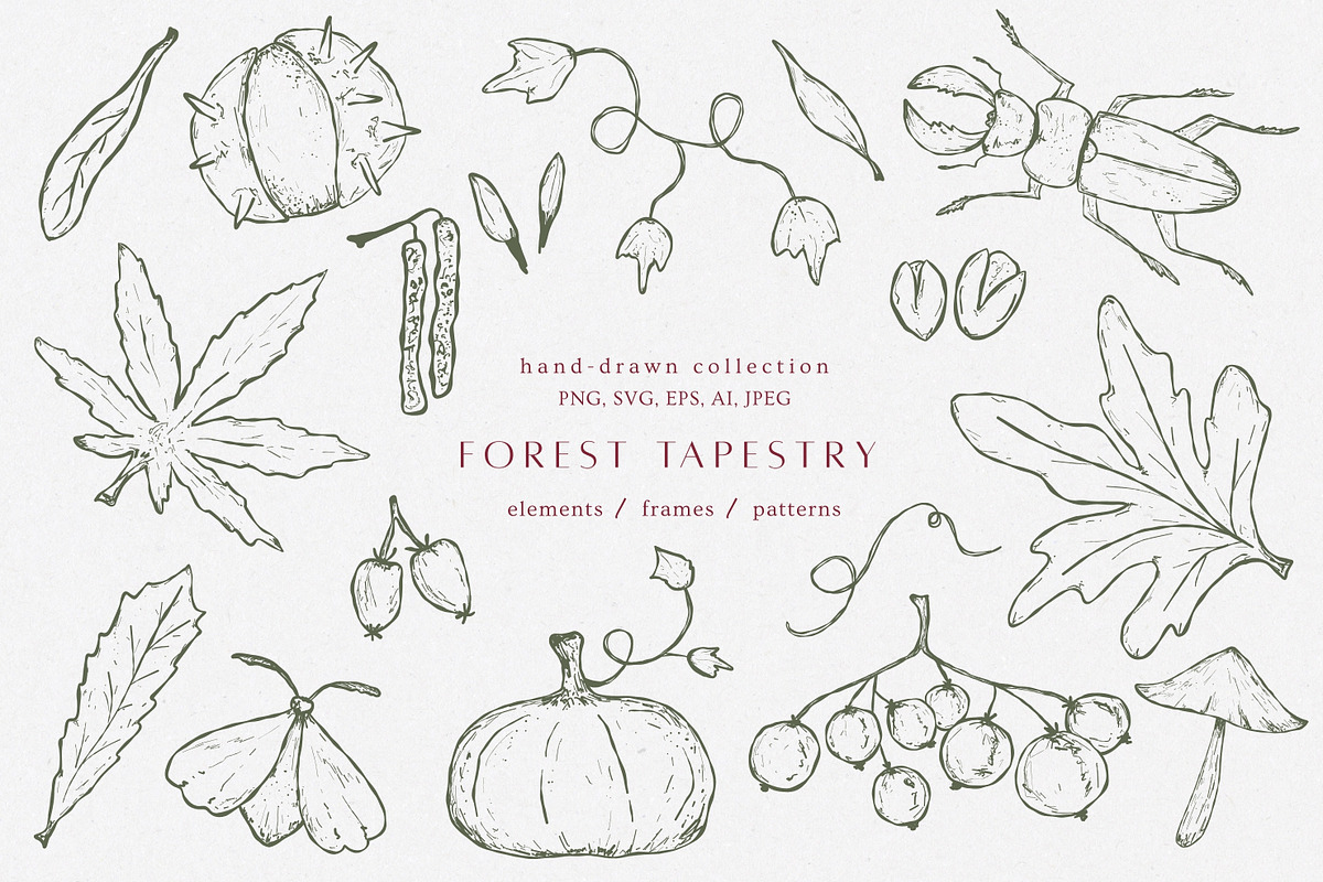 Autumn botanical hand-drawn graphics, a Decorative Illustration by CapriceMeDesigns (Photo 1 of 11)