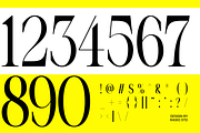 Evoire Modern Editorial Serif Font, a Serif Font by Rasio Studio (Thumbnail 3 of 11)