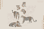 Magic Jungle Collection, an Animal Illustration by Julia Dreams (Thumbnail 7 of 11)
