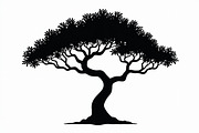 Wild Forest Tree Clipart Set, an Illustration by balal (Thumbnail 11 of 20)