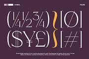 GC Adelite - Stylish Chic Serif, a Serif Font by Glyphonic (Thumbnail 14 of 15)