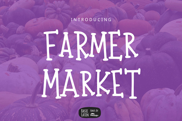 Farmer Market Simple Font preview 6