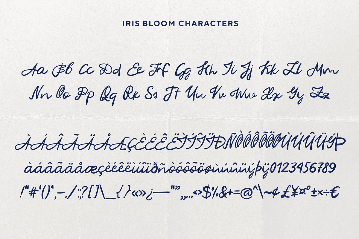 Iris Bloom: Elegant Script Font, a Script Font by Anastasiia VNSK (Photo 6 of 11)