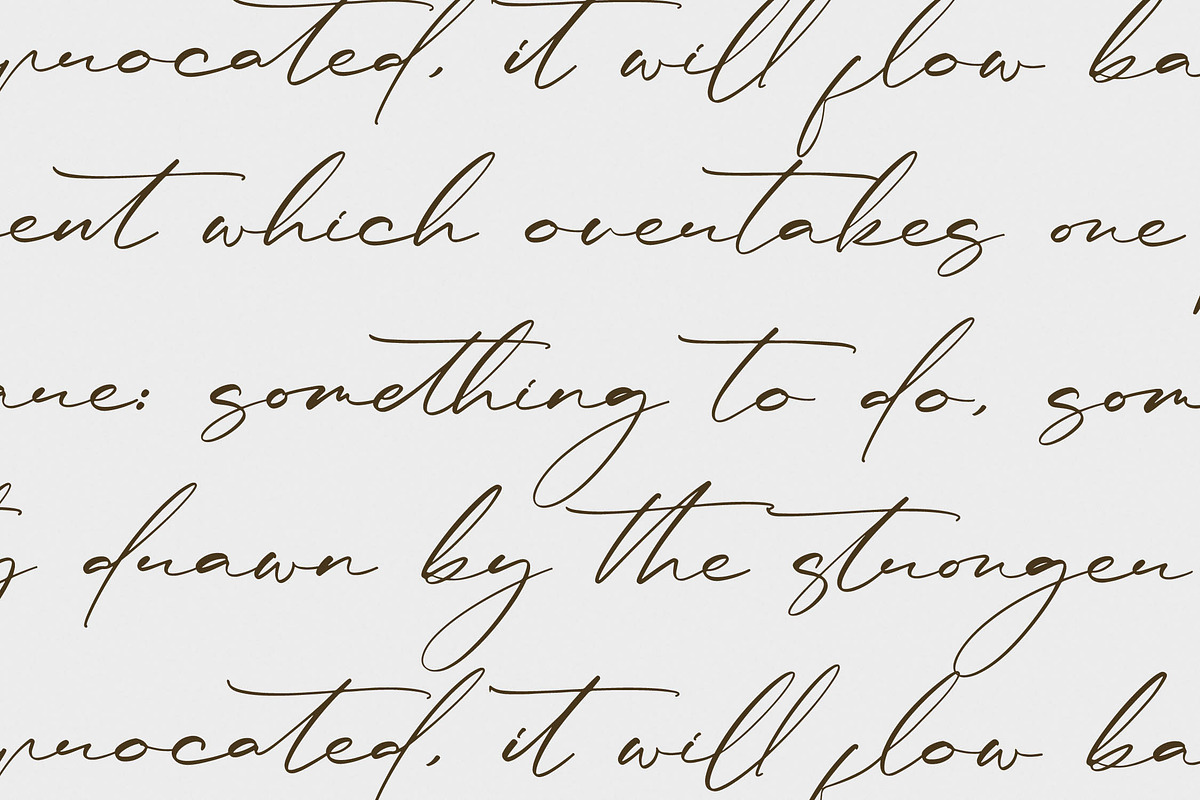 Rulligedro Modern Calligraphy Script, a Script Font by Letterena Studios Script (Photo 10 of 15)