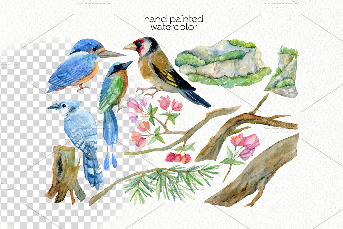 Watercolor Birds Clipart, an Animal Illustration by OllyKo Art (Photo 2 of 7)
