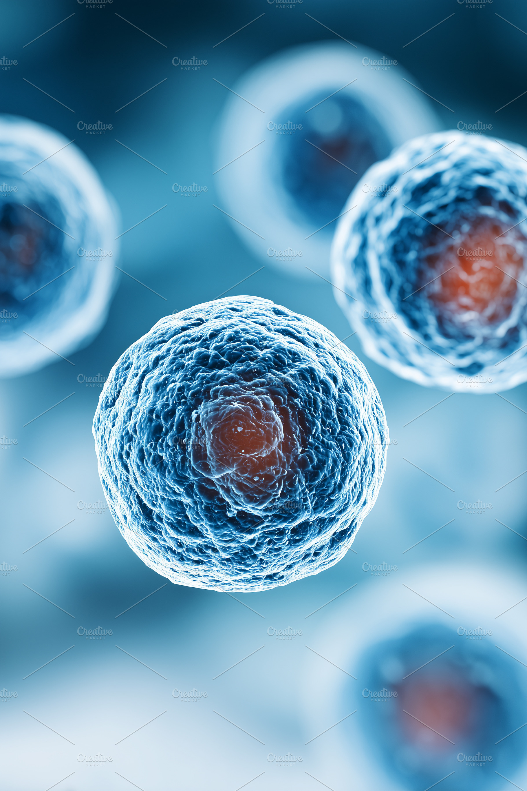 Stem cells with visible nuclei, view, a Health & Medical Photo by MistyDay