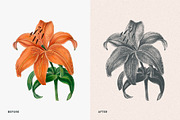 Risograph Grain Effect, a Layer Style Add-On by pixelbuddha.net (Thumbnail 7 of 9)