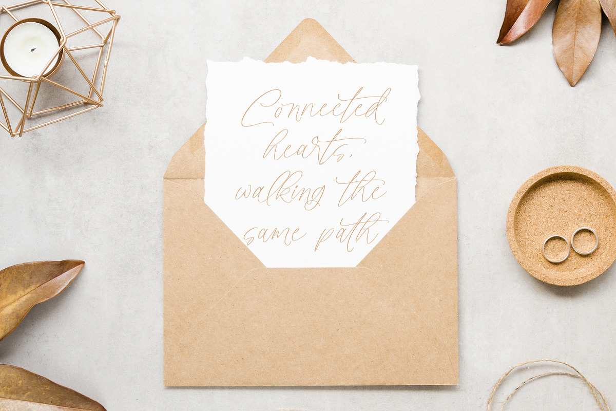 Styelad Initials, a Handwritten Font by operatype.co (Photo 14 of 15)