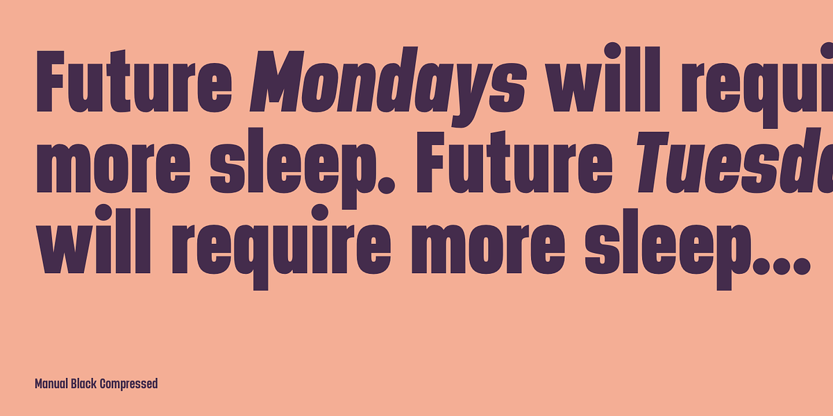 Manual, a Sans Serif Font by TypeUnion (Photo 9 of 16)