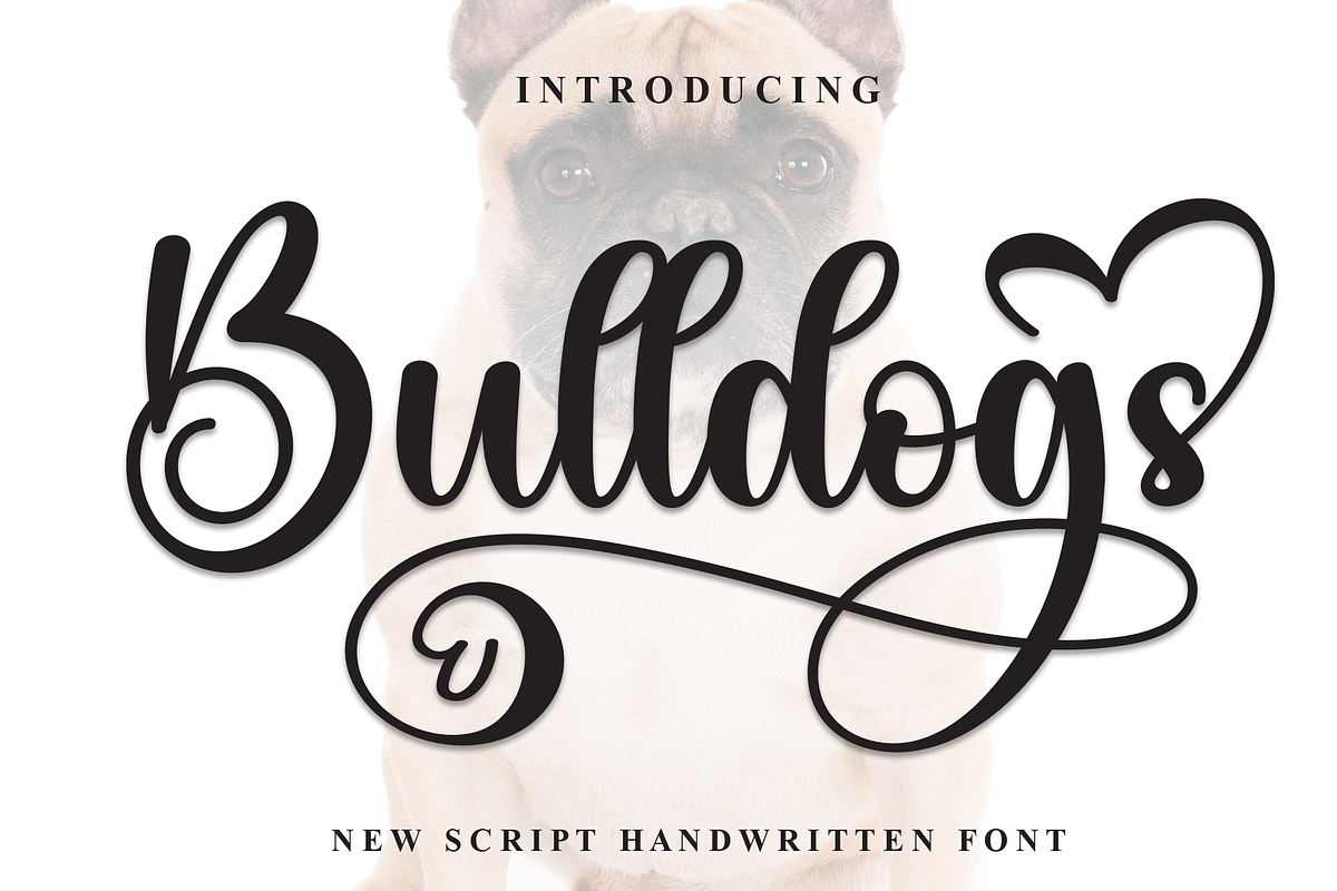 Bulldogs | Script Font, a Handwritten Font by Scratchones (Photo 1 of 9)