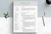IT Tech Executive Resume Template, a Resume Template by Get Landed (Thumbnail 2 of 12)