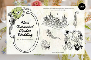 New Perennial Garden Wedding, a Decorative Illustration by divanovskaya_nv