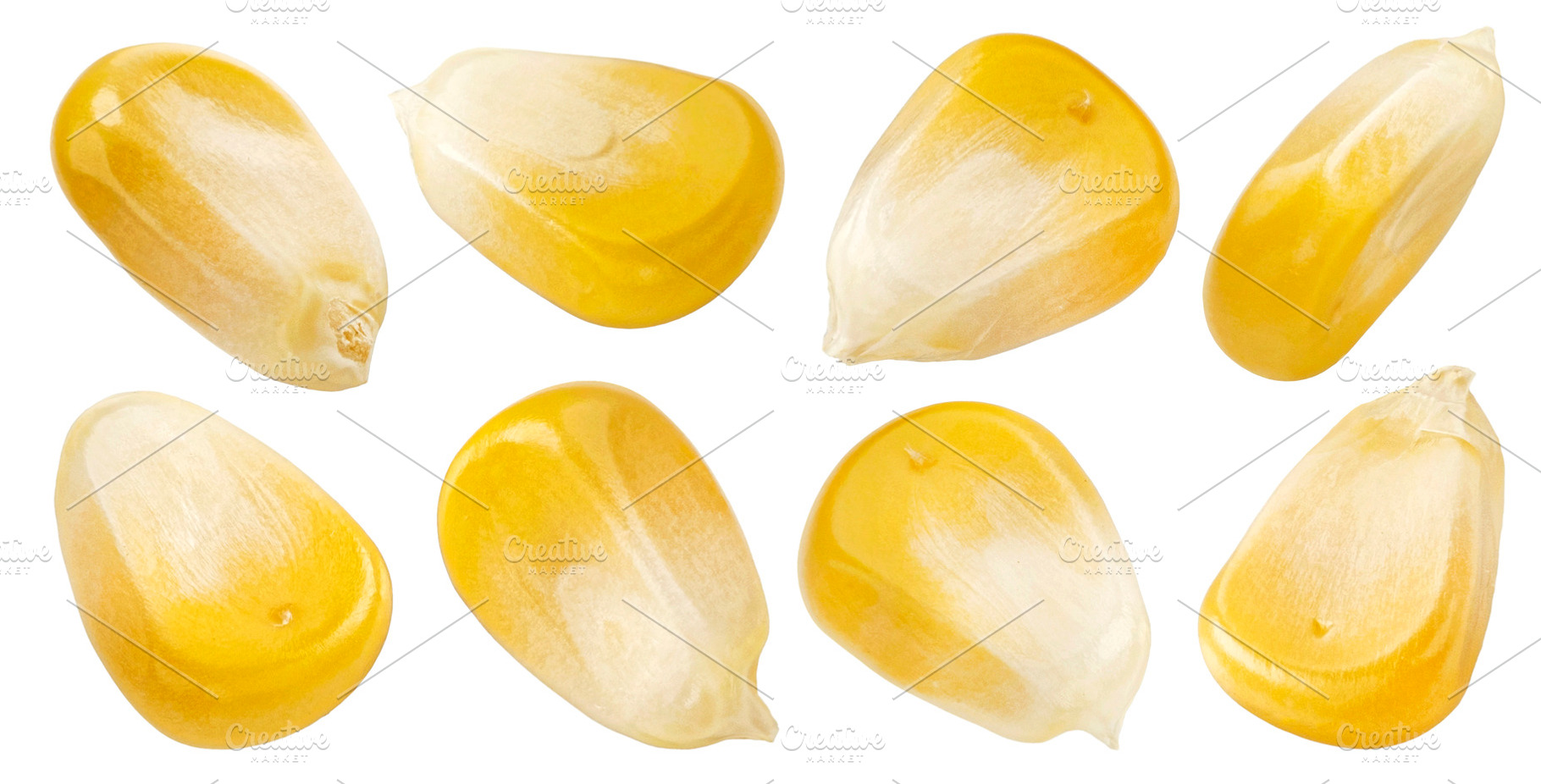 Corn kernels collection, a Photo by Max Lashcheuski
