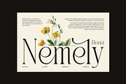 Bember Elegant Serif Font, a Serif Font by Graphicxell (Thumbnail 2 of 8)