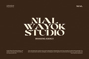 Mogen Serif Font, a Serif Font by Perfectype (Thumbnail 2 of 8)