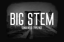 Big Stem Type Family