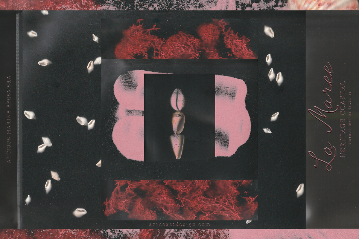 La Maree — Coastal Ephemera, a Background Graphic by nadispasibenko (Photo 2 of 9)