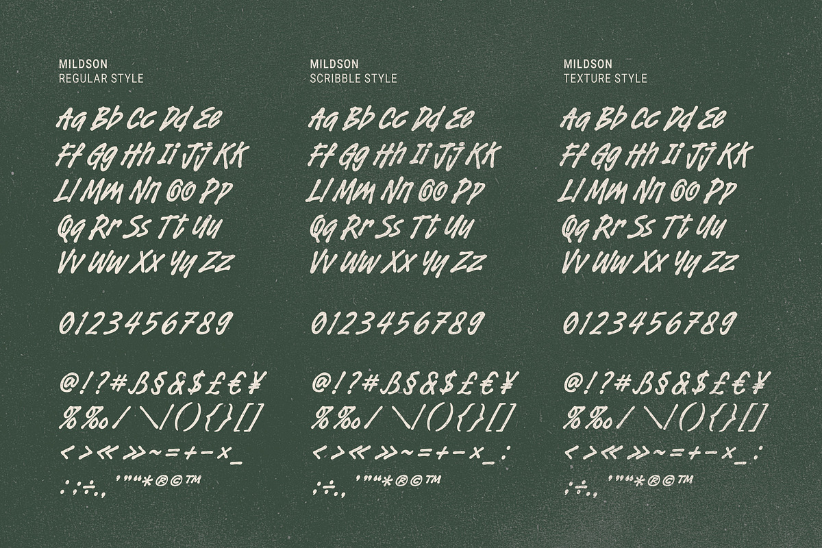 Noishe - Editorial Bold Marker Font, a Handwritten Font by Blankids Studio (Photo 10 of 11)