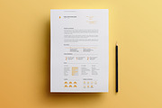 Resume Template Pack | Michelangelo, a Resume Template by AAO.Design (Thumbnail 4 of 7)
