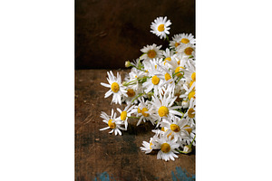White Daisies Bouquet on Wooden, a Nature Photo by Natasha Breen