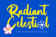 Dateline Bold Brush Font, a Script Font by Letterena Studios Script (Thumbnail 8 of 20)