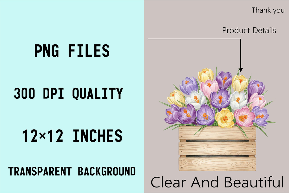 Watercolor Crocuses Clipart Bundle., an Illustration by SVGArt (Photo 5 of 9)