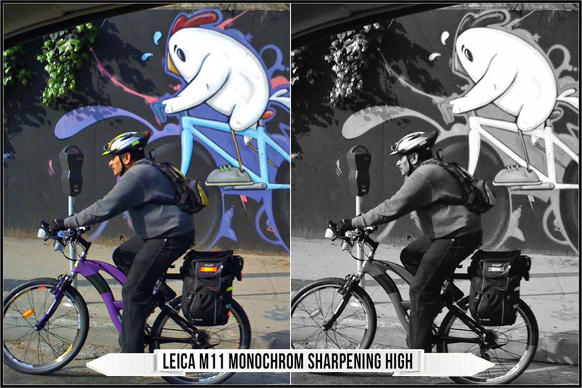 Leica Monochrom Profiles, a Plug-in Add-On by Raztrend (Photo 17 of 31)