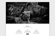 Bigwigs Pro is a versatile WP theme, a WordPress Template by DinevThemes (Thumbnail 1 of 3)