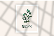 Leafly - Procreate Stamp Brush, a Brush Add-On by Good Java Studio (Thumbnail 6 of 7)