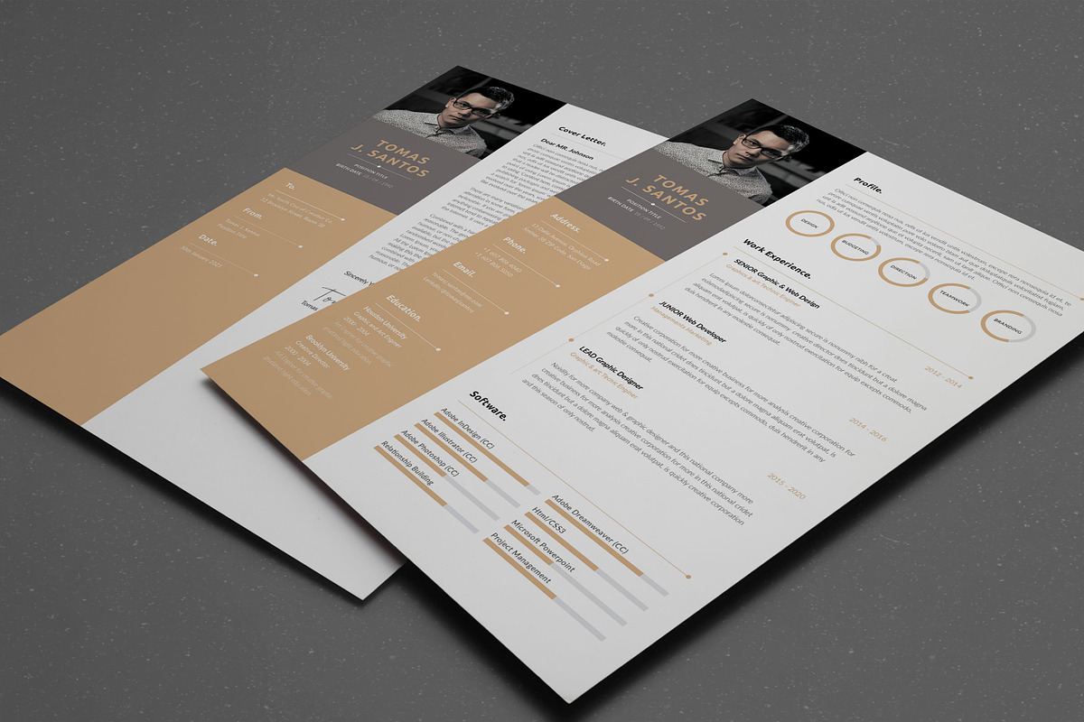 Resume/CV, a Resume Template by UX-group (Photo 4 of 7)