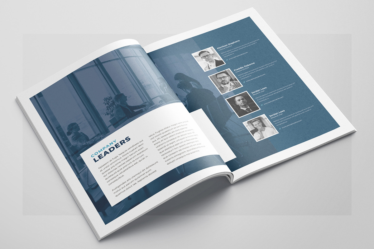 Company Profile, Business Profile, a Brochure Template by Niofix (Photo 4 of 6)