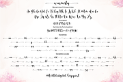 Warmesty - Lovely Font, a Script Font by Sronstudio (Thumbnail 9 of 10)