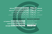 Cocogoose Pro - 17 styles, a Sans Serif Font by Zetafonts (Thumbnail 3 of 10)